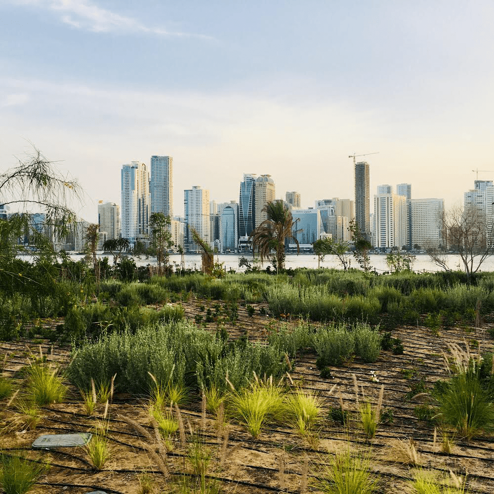 Sharjah landmark